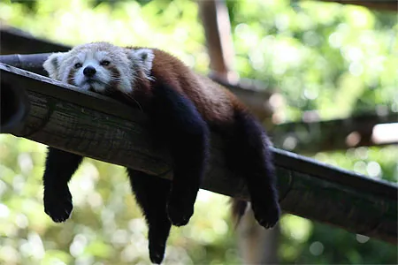 Repos et récupération après une séance